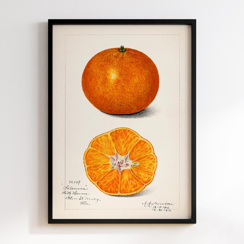 Постер на кухню Kitchen Modern Art KT086