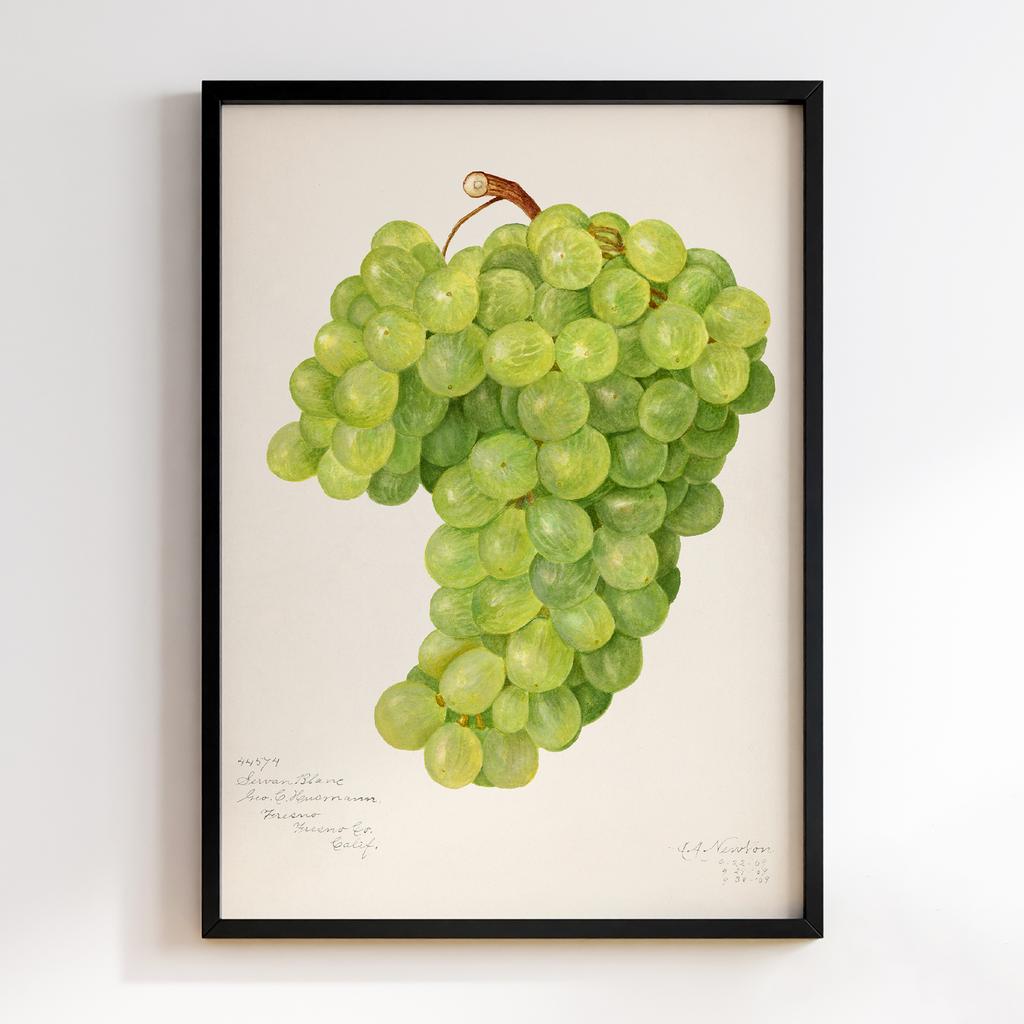 Постер на кухню Kitchen Modern Art KT087