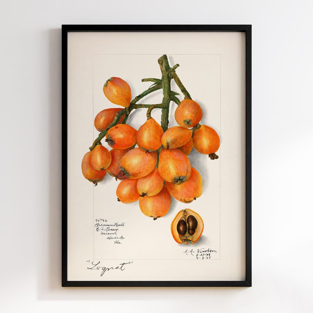 Постер на кухню Kitchen Modern Art KT088