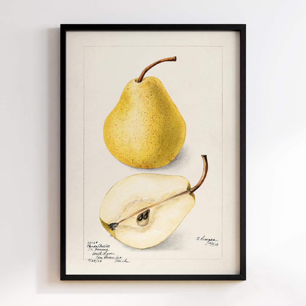 Постер на кухню Kitchen Modern Art KT089