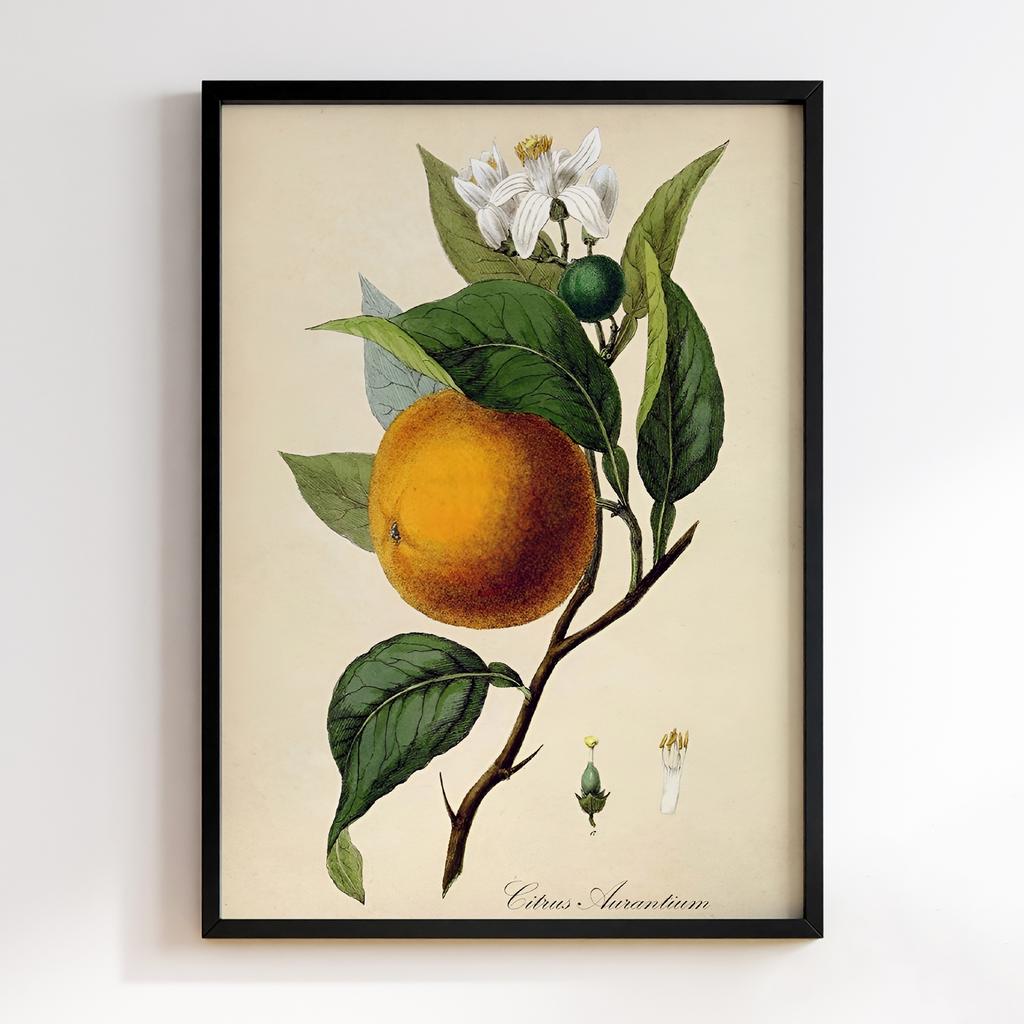 Постер на кухню Kitchen Modern Art KT200