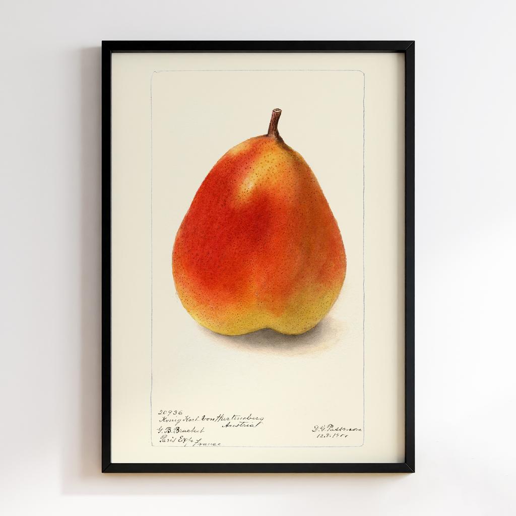 Постер на кухню Kitchen Modern Art KT266