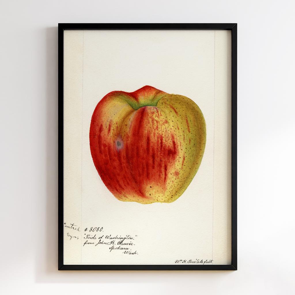 Постер на кухню Kitchen Modern Art KT267