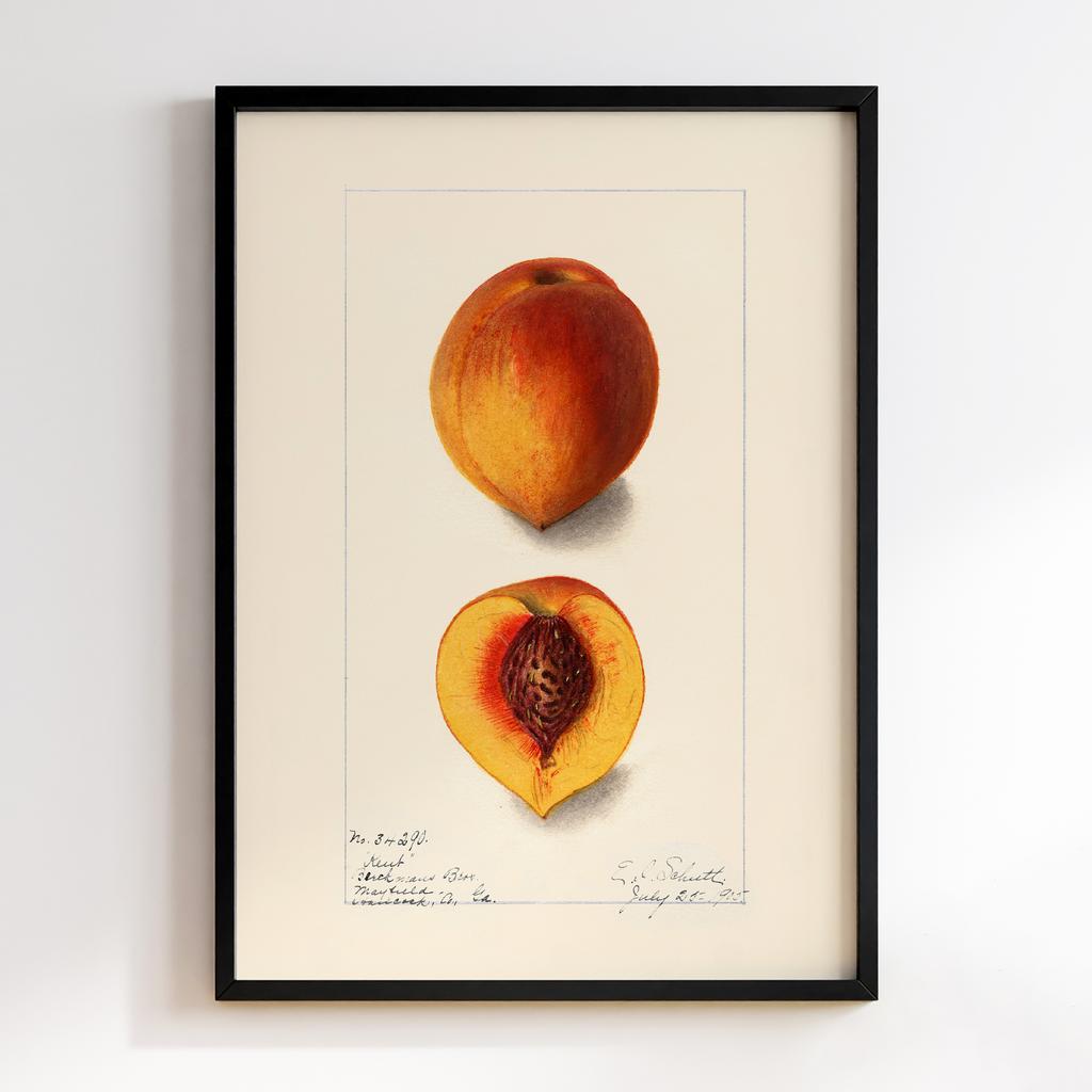 Постер на кухню Kitchen Modern Art KT268