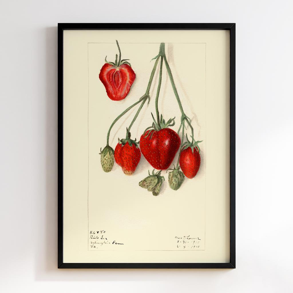 Постер на кухню Kitchen Modern Art KT270