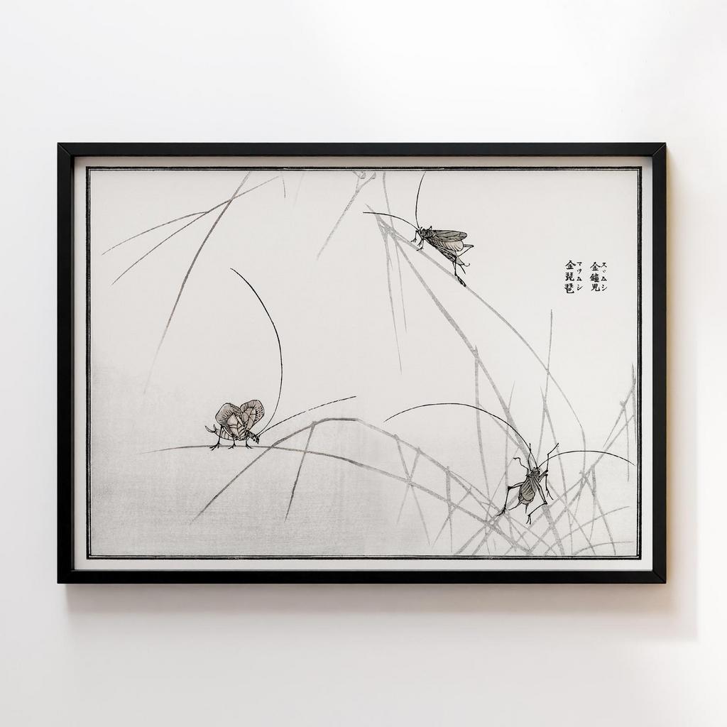 Постер Churui Gafu (1910) by Morimoto Toko MTG35