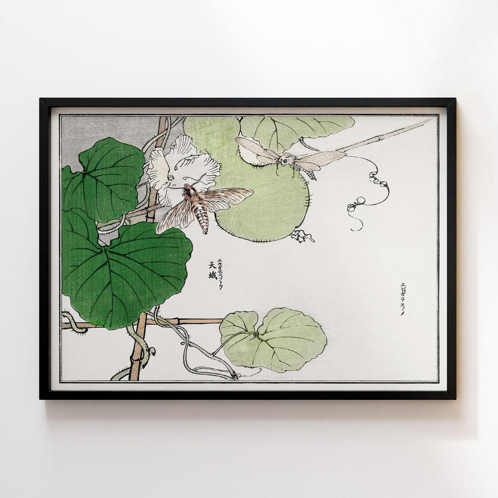 Постер Churui Gafu (1910) by Morimoto Toko MTG40