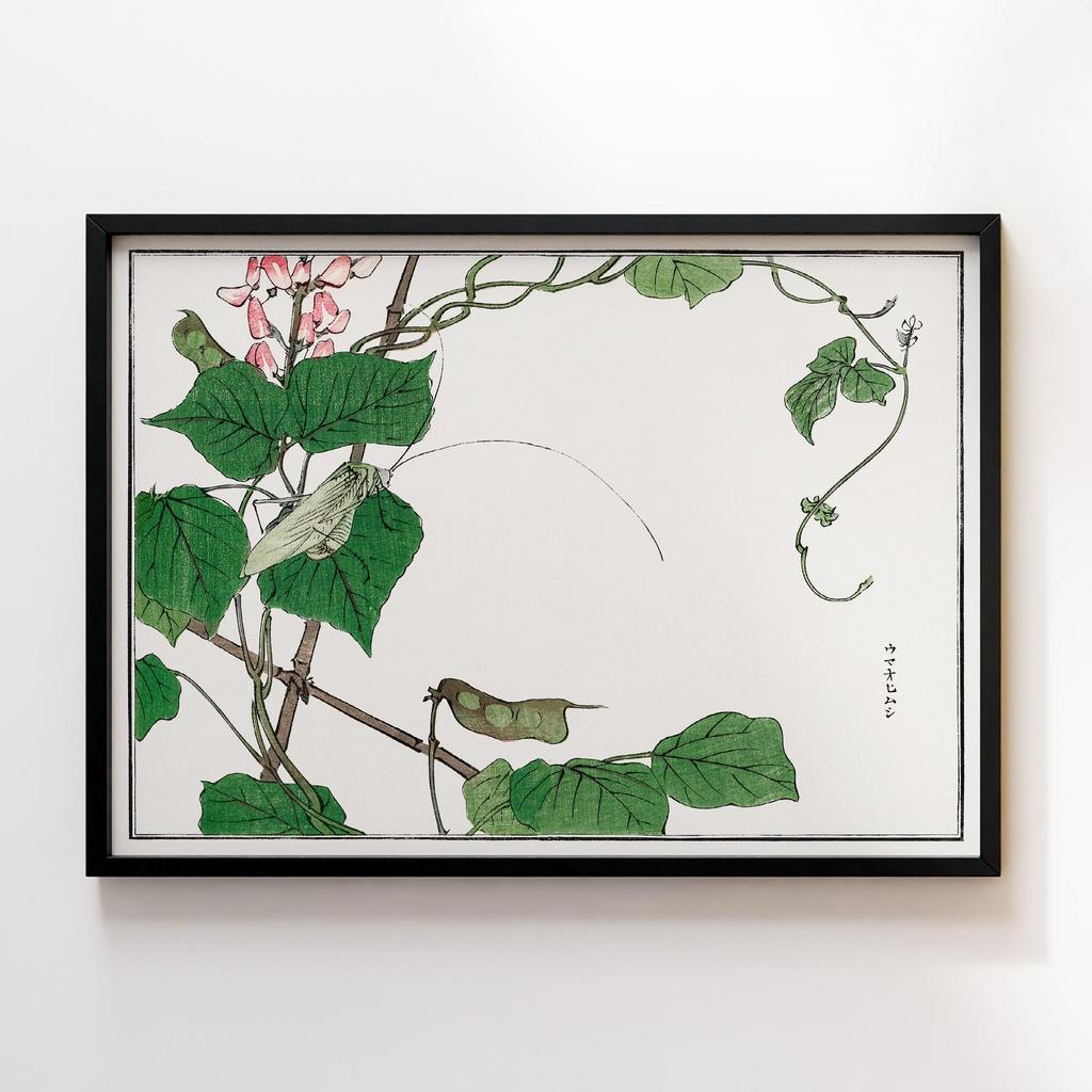 Постер Churui Gafu (1910) by Morimoto Toko MTG42