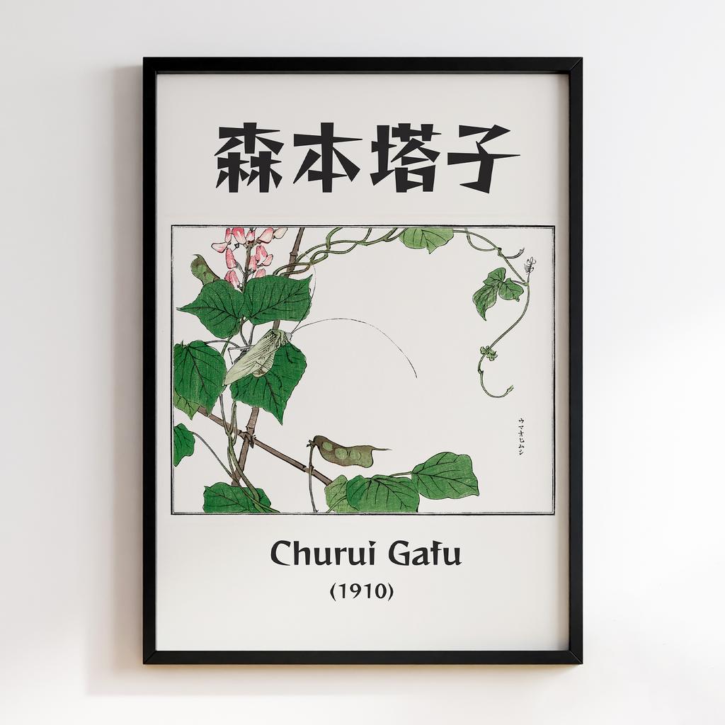 Постер Churui Gafu (1910) by Morimoto Toko MTG43
