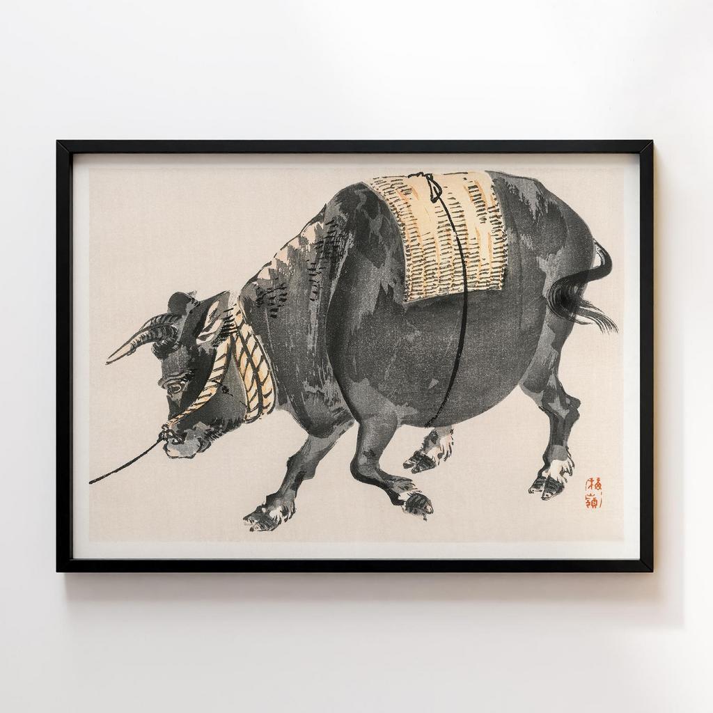 Постер Kono Bairei Gakan Black Bull #1