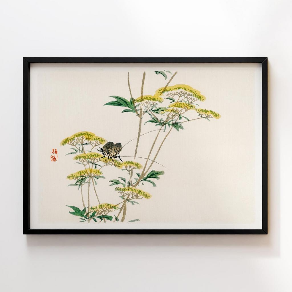 Постер Kono Bairei