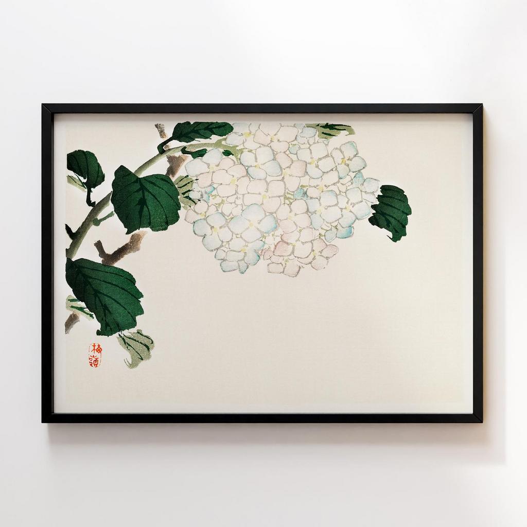 Постер Kono Bairei