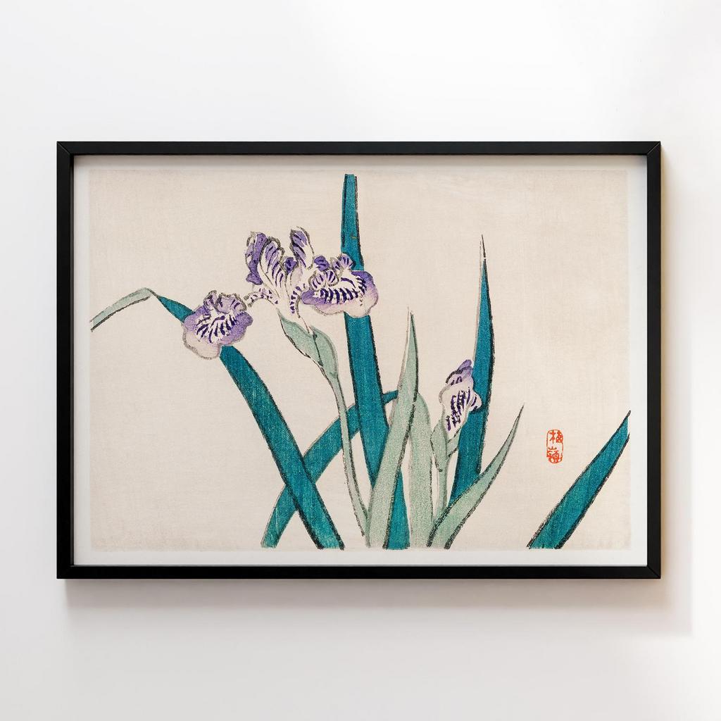 Постер Kono Bairei