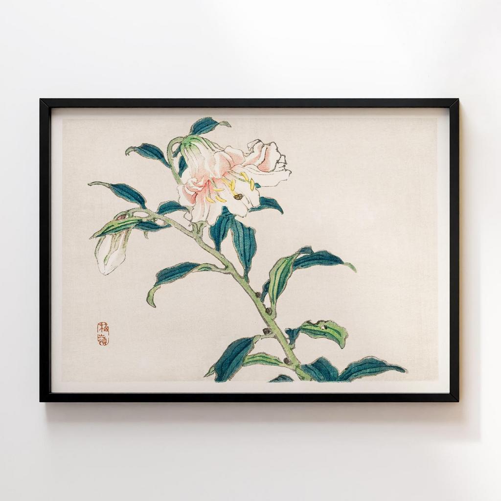 Постер Kono Bairei