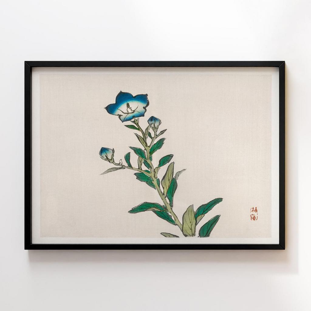 Постер Kono Bairei