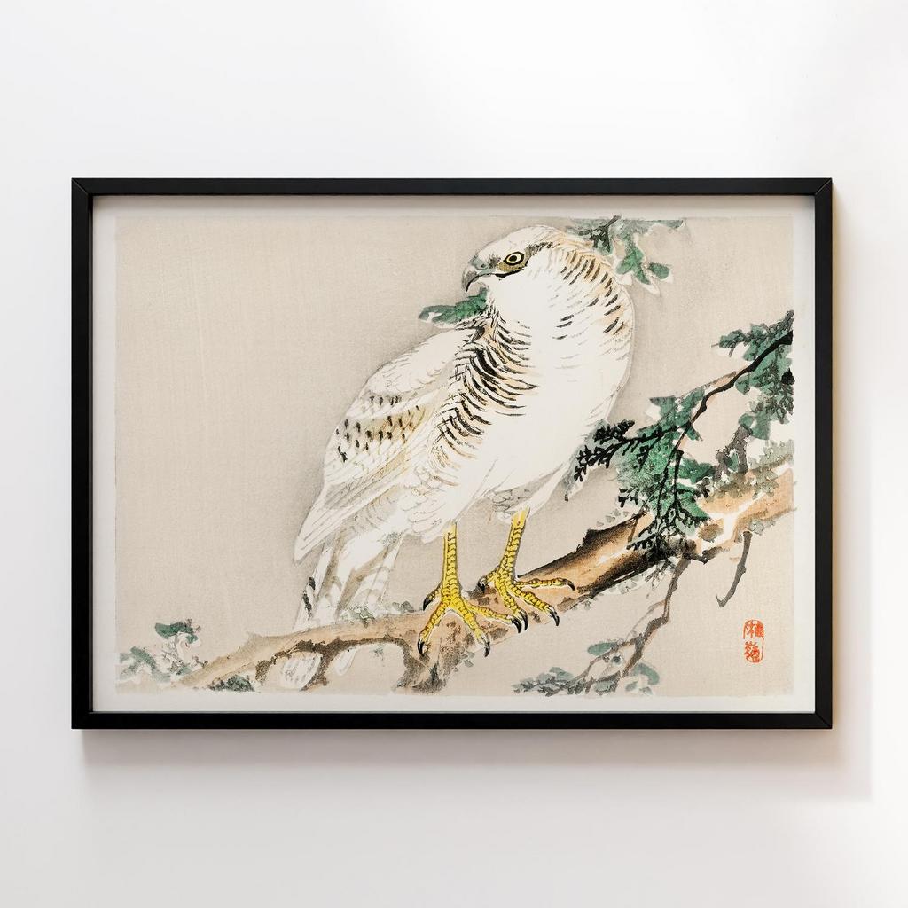 Постер Kono Bairei Northern Mockingbird