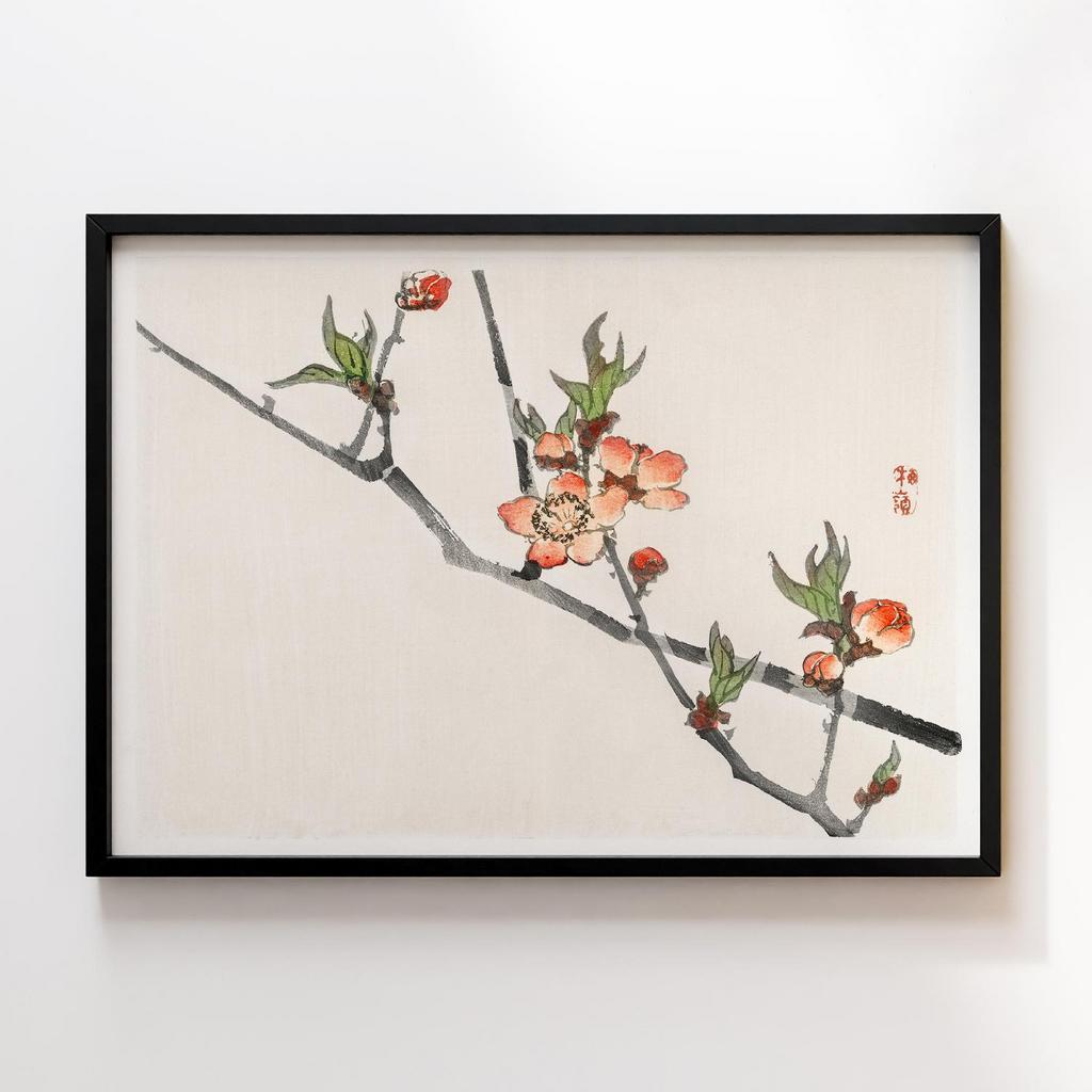 Постер Kono Bairei Peach