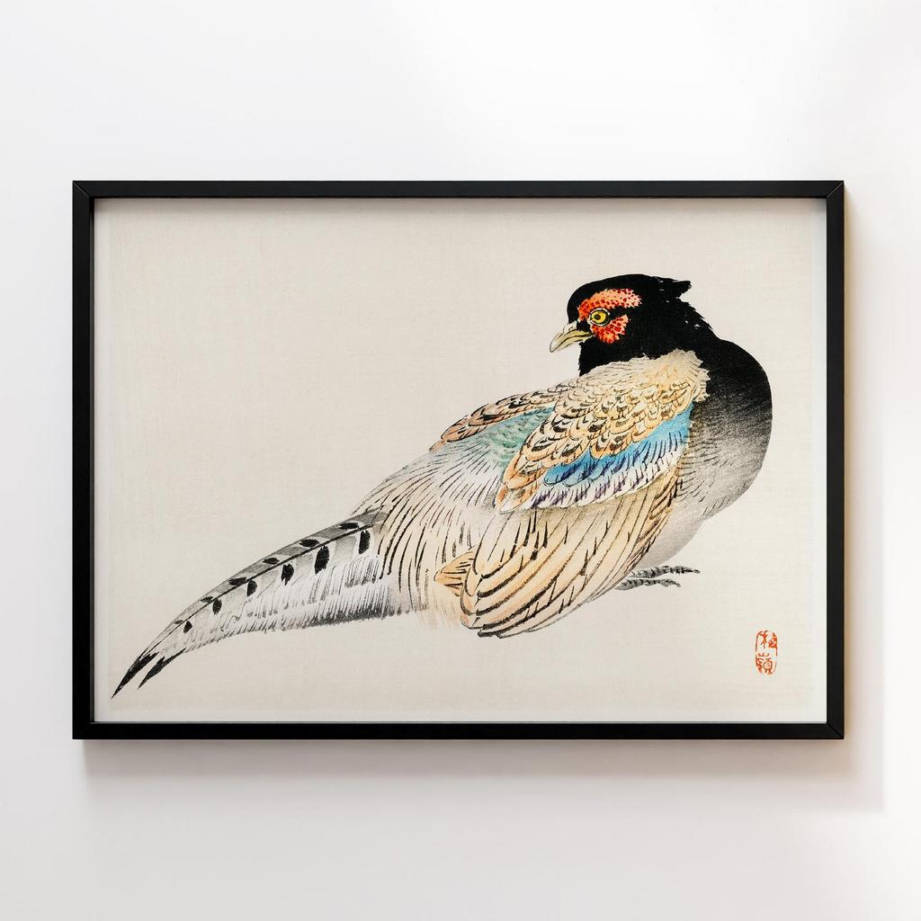 Постер Kono Bairei Peregrine Falcon #2