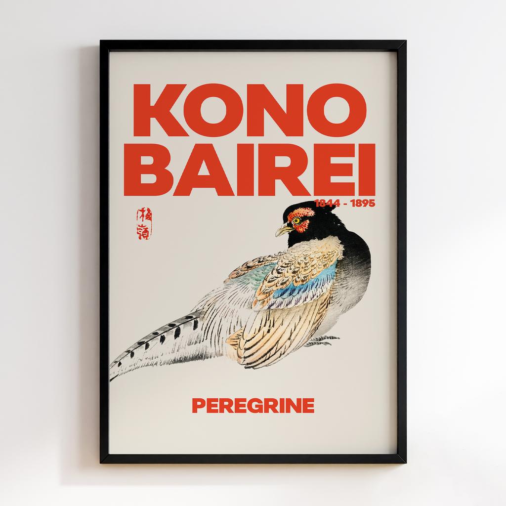 Постер Kono Bairei Peregrine Falcon #1