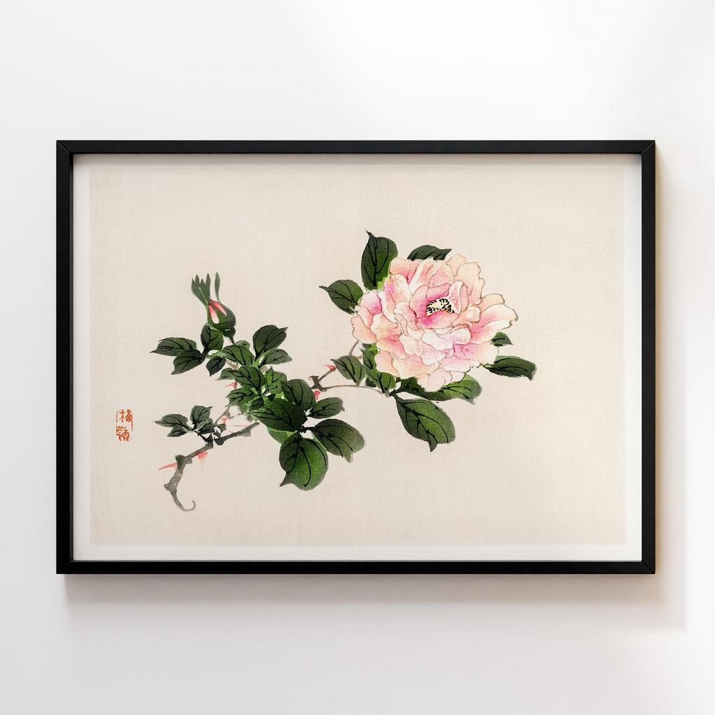 Постер Kono Bairei Pink Rose #2