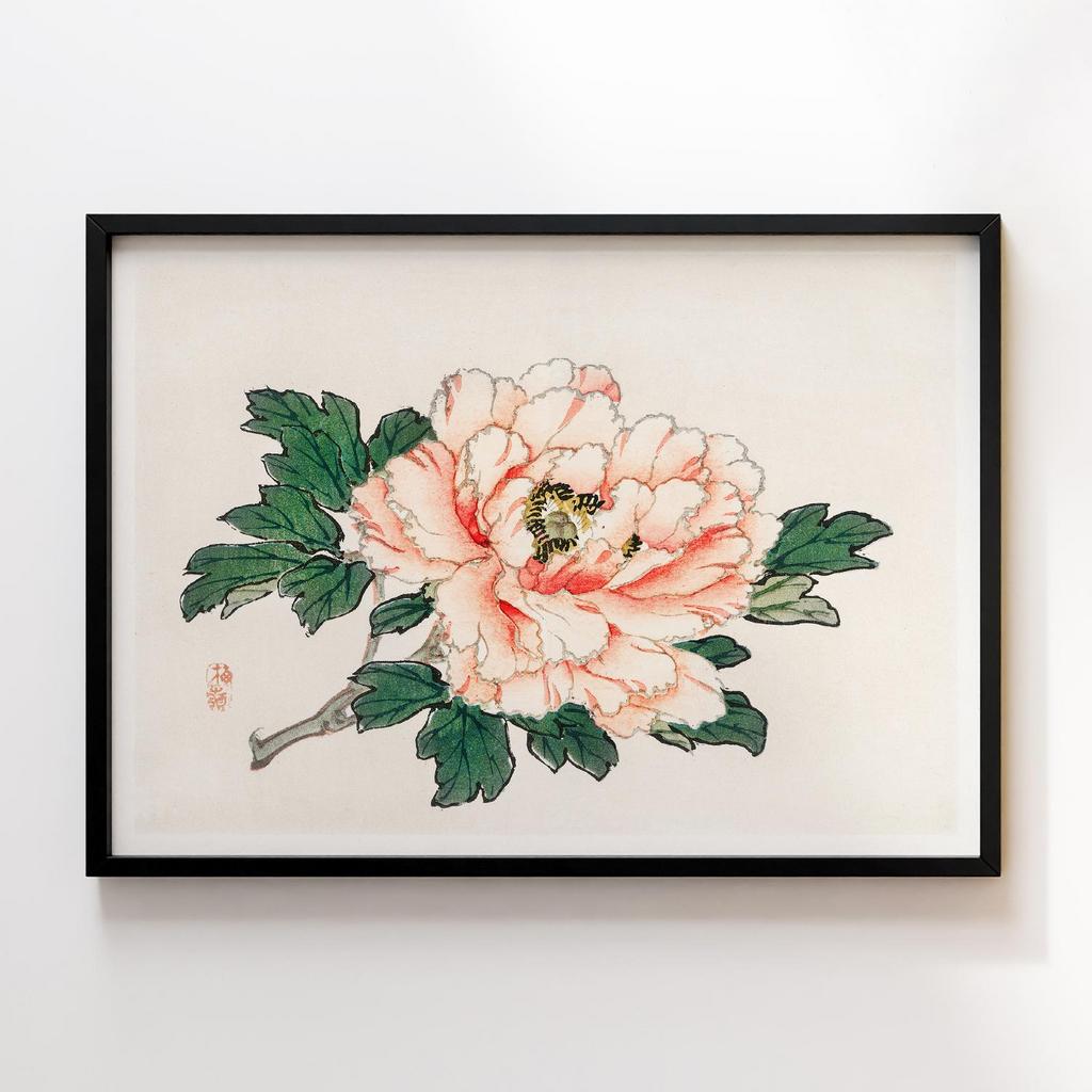 Постер Kono Bairei Pink Rose