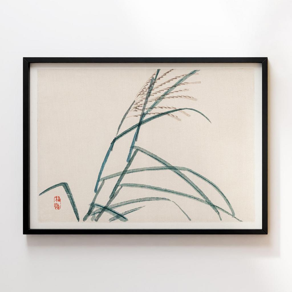 Постер Kono Bairei Poaceae