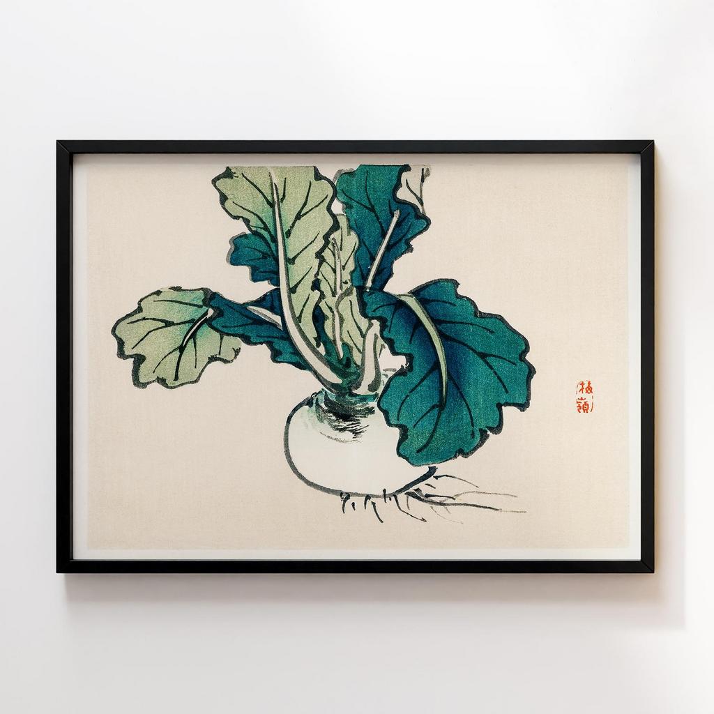 Постер Kono Bairei Radish