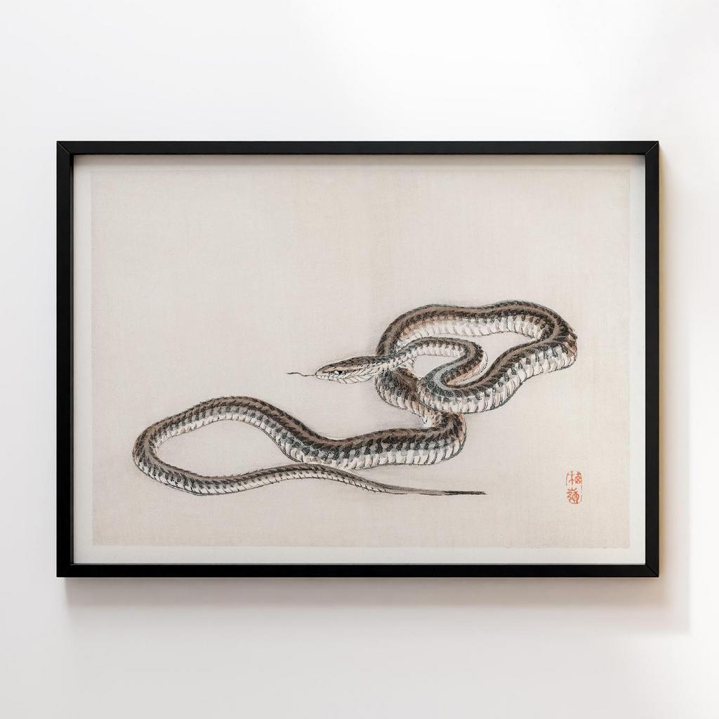 Постер Kono Bairei Snake