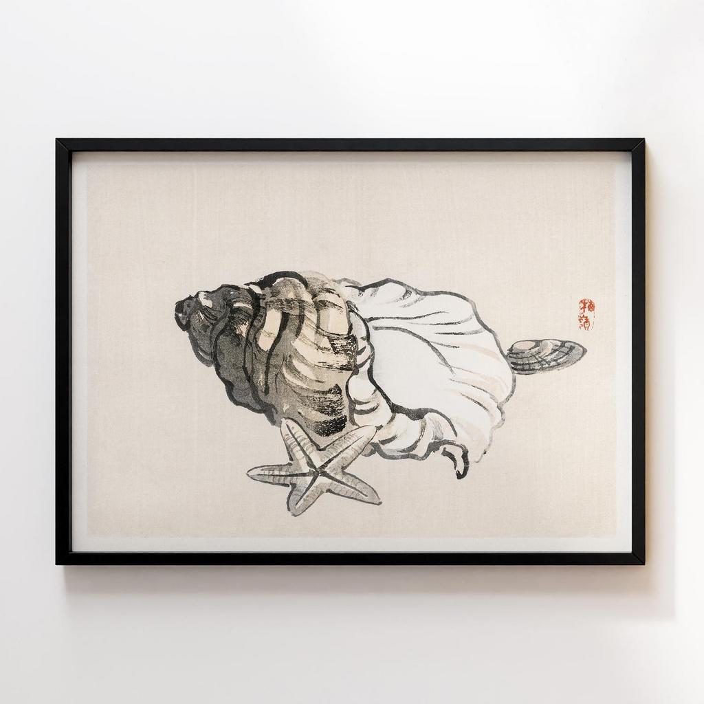 Постер Kono Bairei Star fish and Conchby