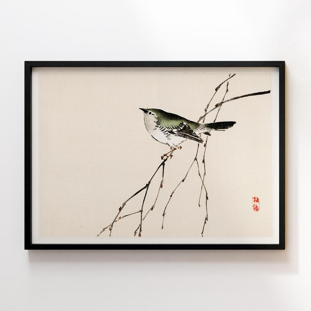 Постер Kono Bairei Tit #2