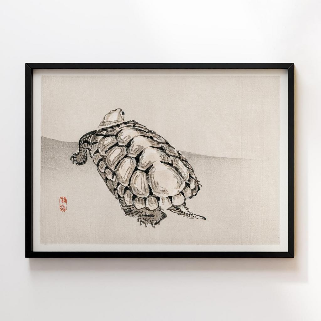 Постер Kono Bairei Turtle