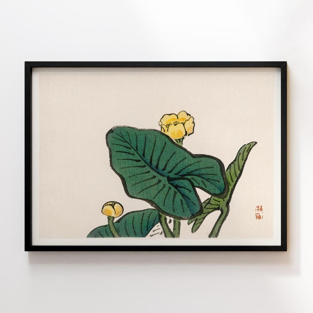 Постер Kono Bairei Water-Lily