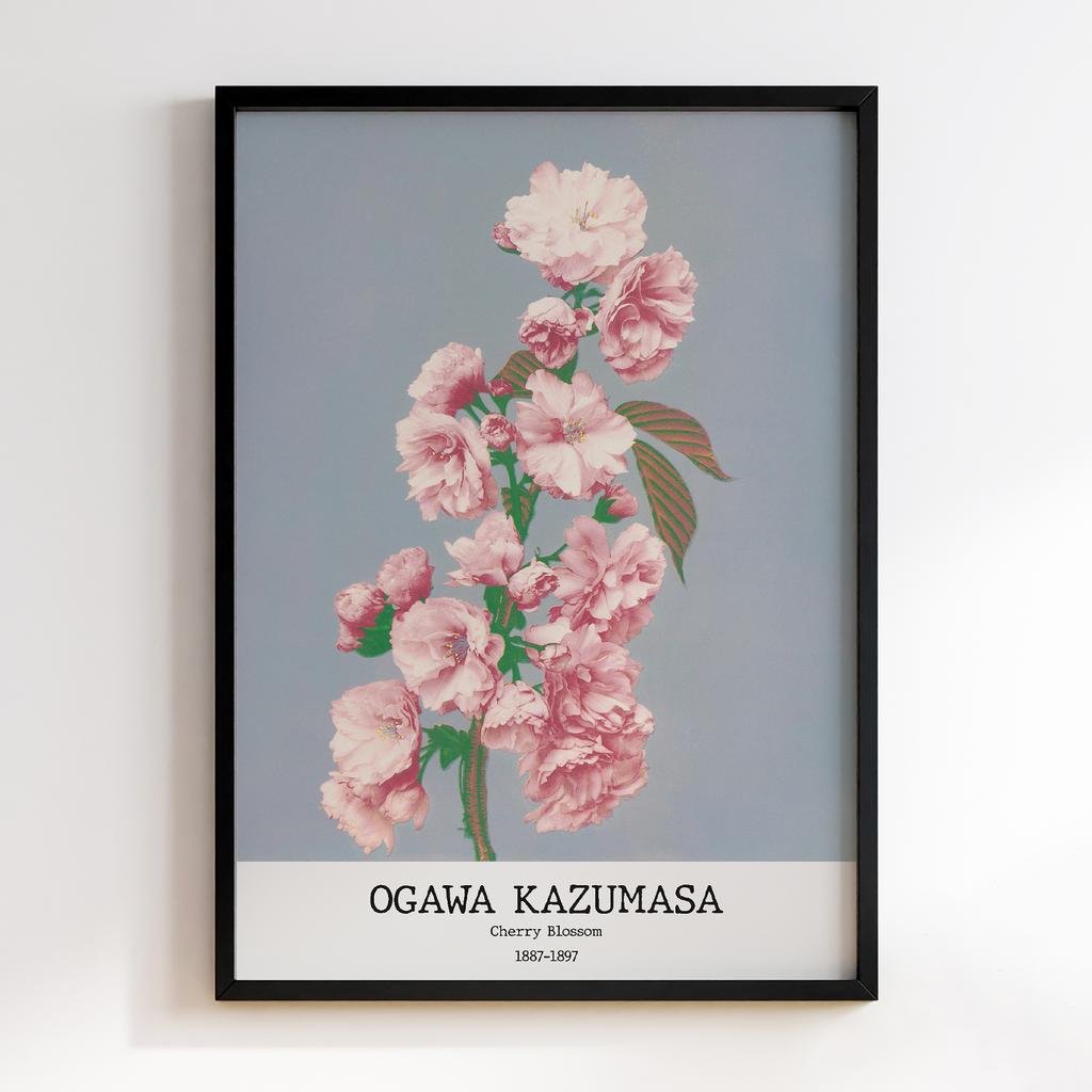 Постер Ogawa Kazumasa Cherry Blossom