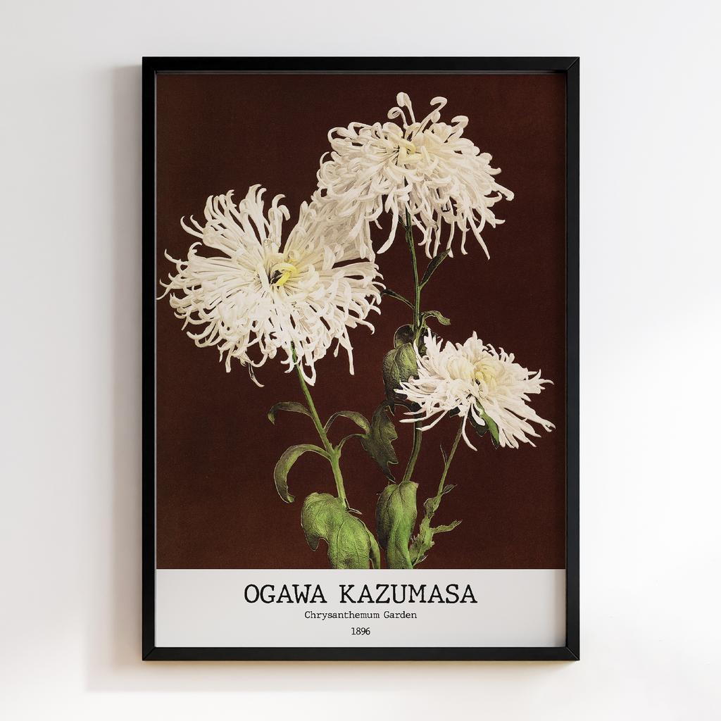 Постер Ogawa Kazumasa Chrysanthemum 1896