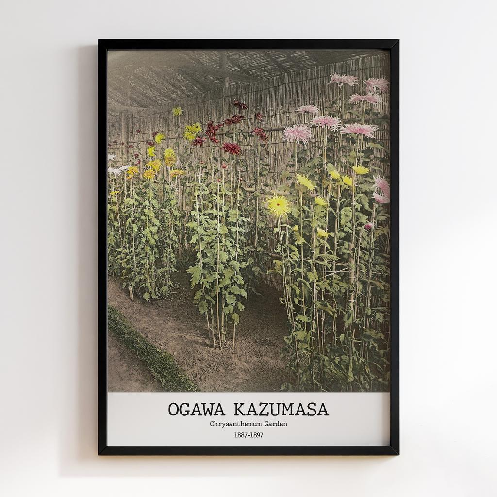 Постер Ogawa Kazumasa Chrysanthemum Garden #01