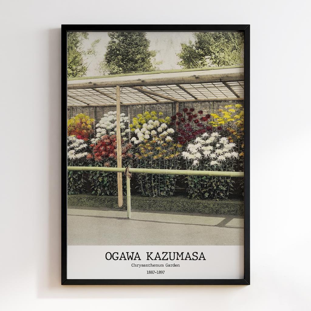 Постер Ogawa Kazumasa Chrysanthemum Garden