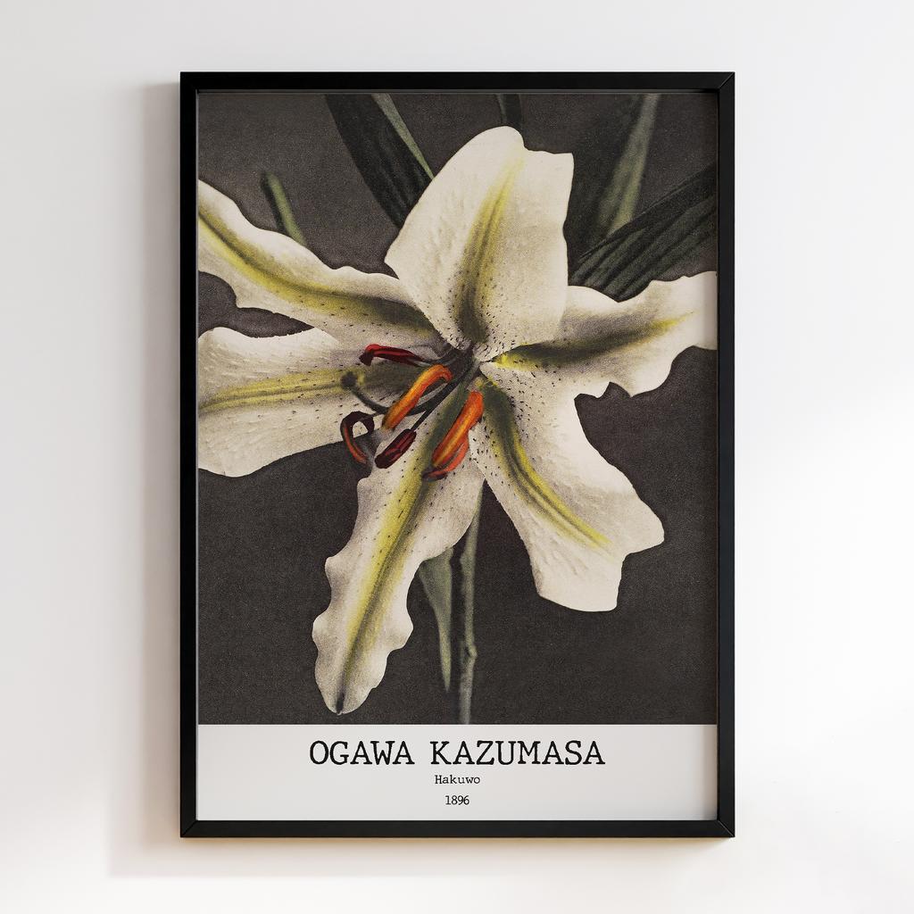 Постер Ogawa Kazumasa Hakuwo