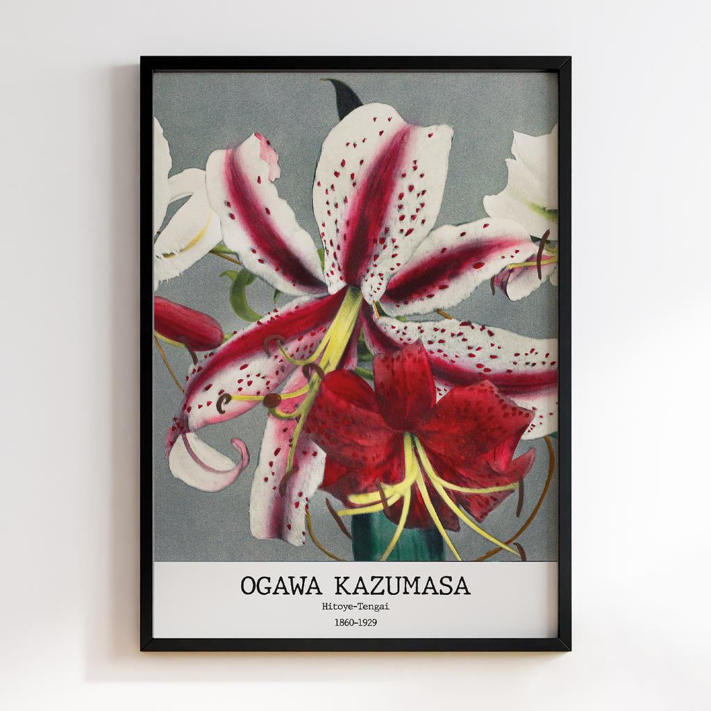 Постер Ogawa Kazumasa Hitoye-Tengai #01