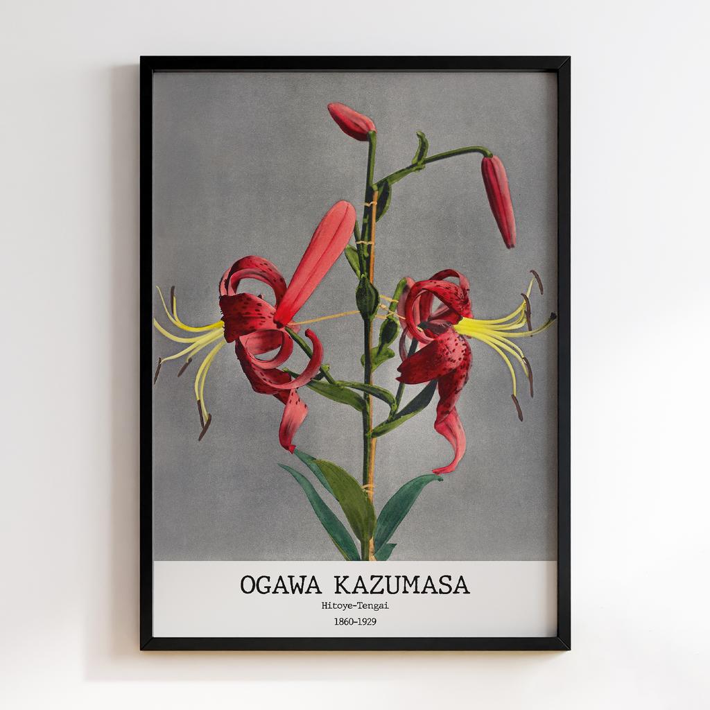 Постер Ogawa Kazumasa Hitoye-Tengai