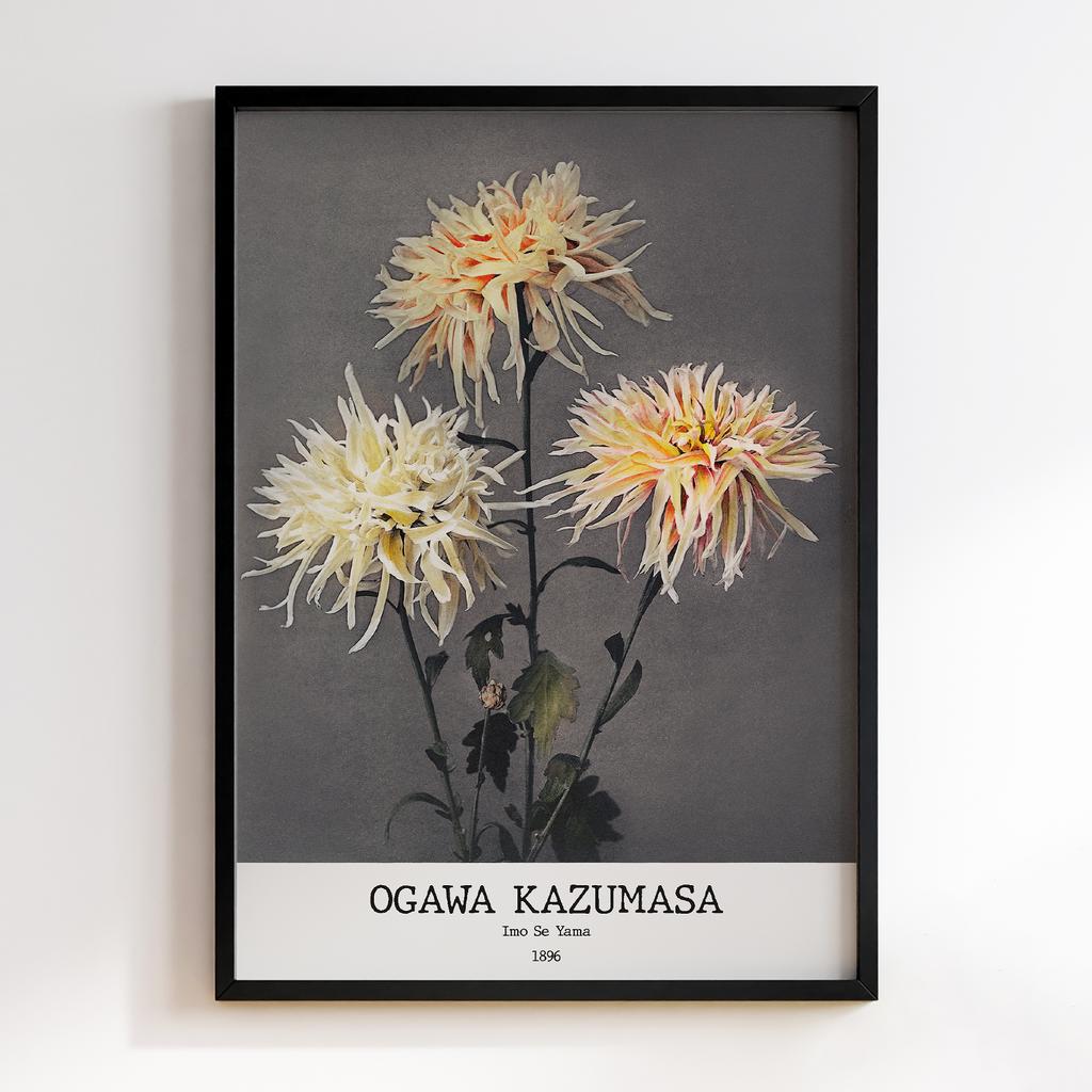 Постер Ogawa Kazumasa Imo Se Yama