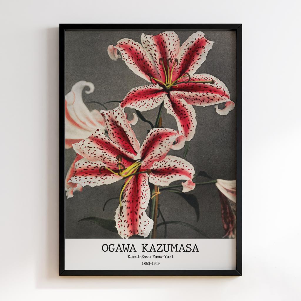 Постер Ogawa Kazumasa Karui-Zawa Yama-Yuri