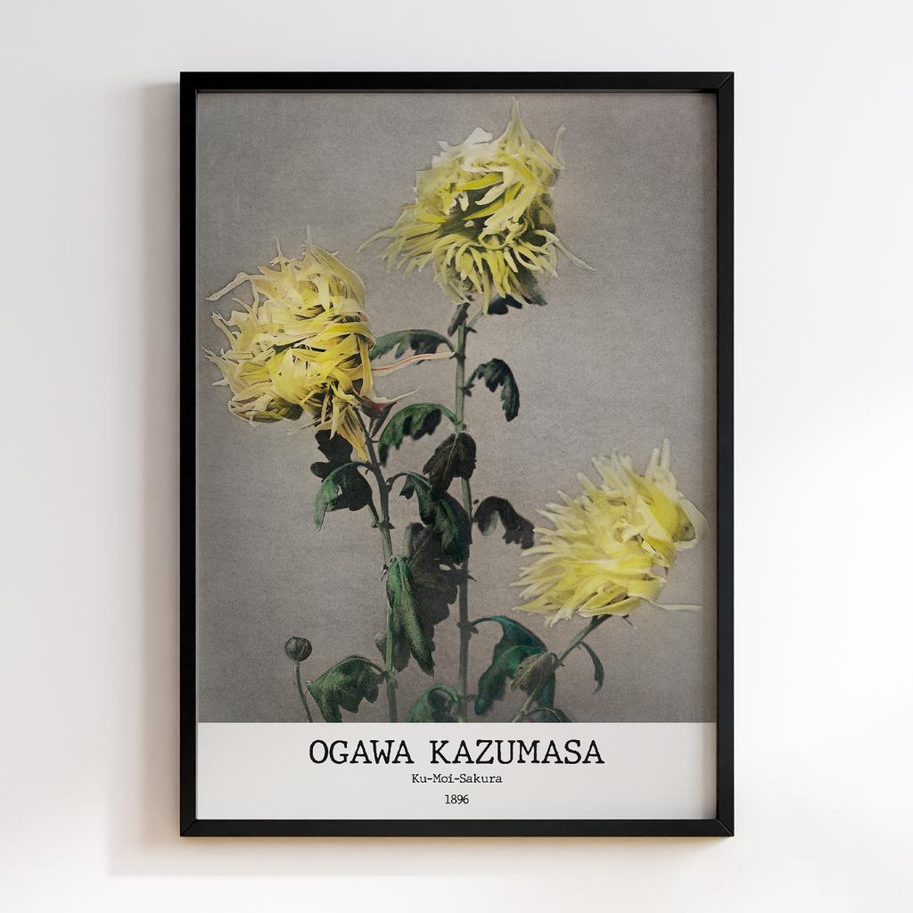 Постер Ogawa Kazumasa Ku–moi–sakura #02