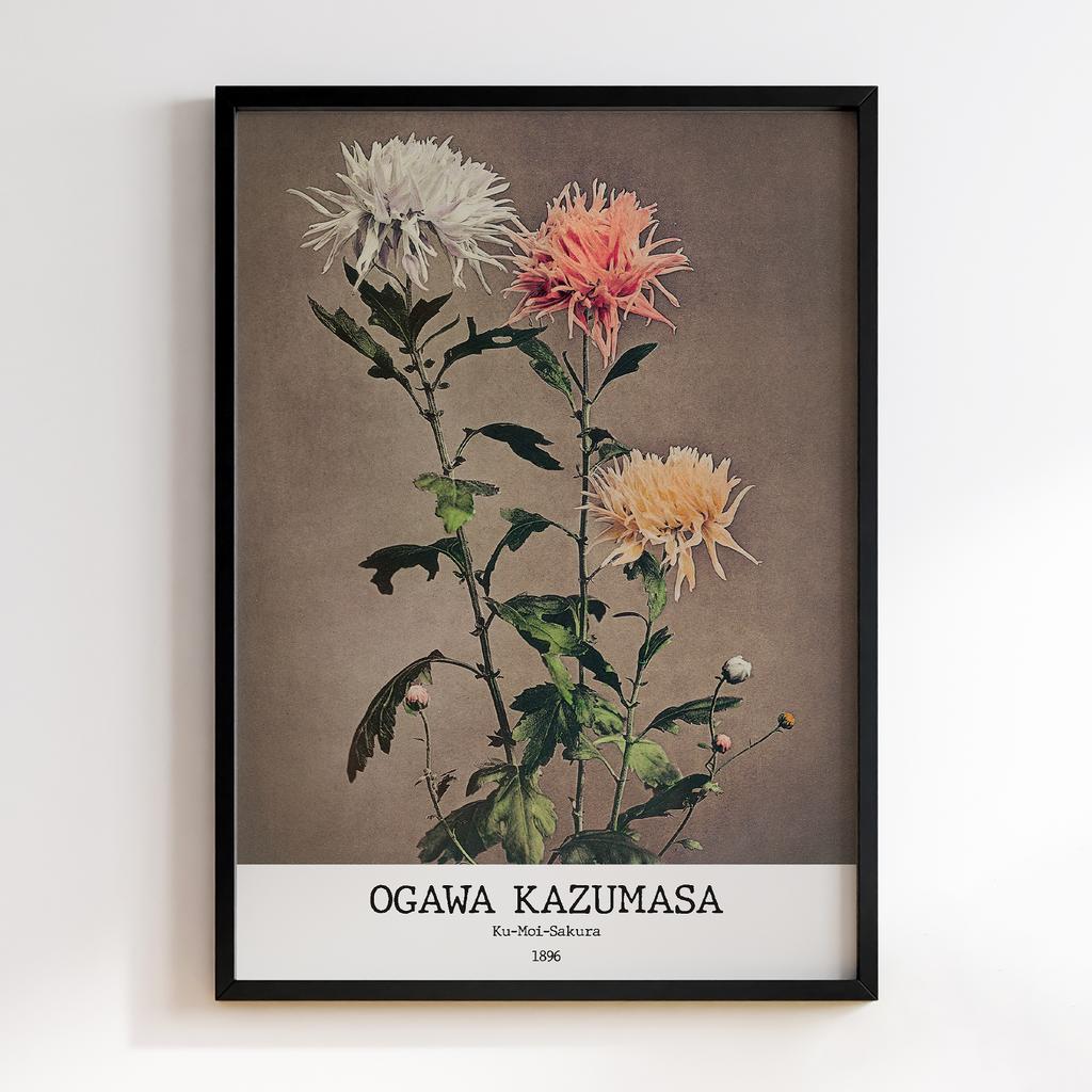 Постер Ogawa Kazumasa Ku–moi–sakura