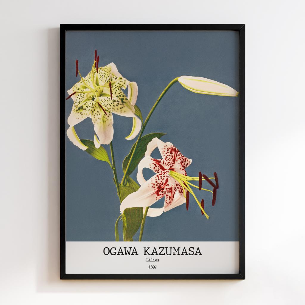Постер Ogawa Kazumasa Lily #03