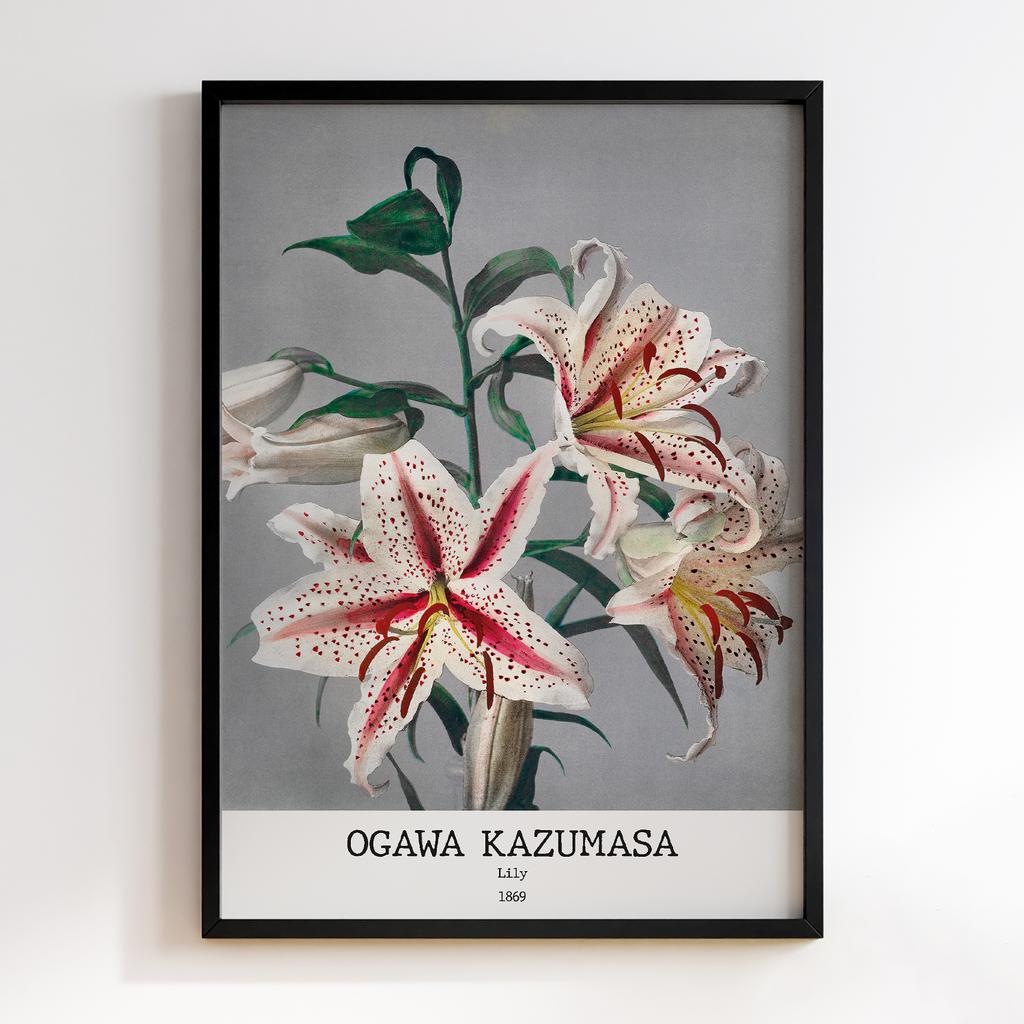 Постер Ogawa Kazumasa Lily #01
