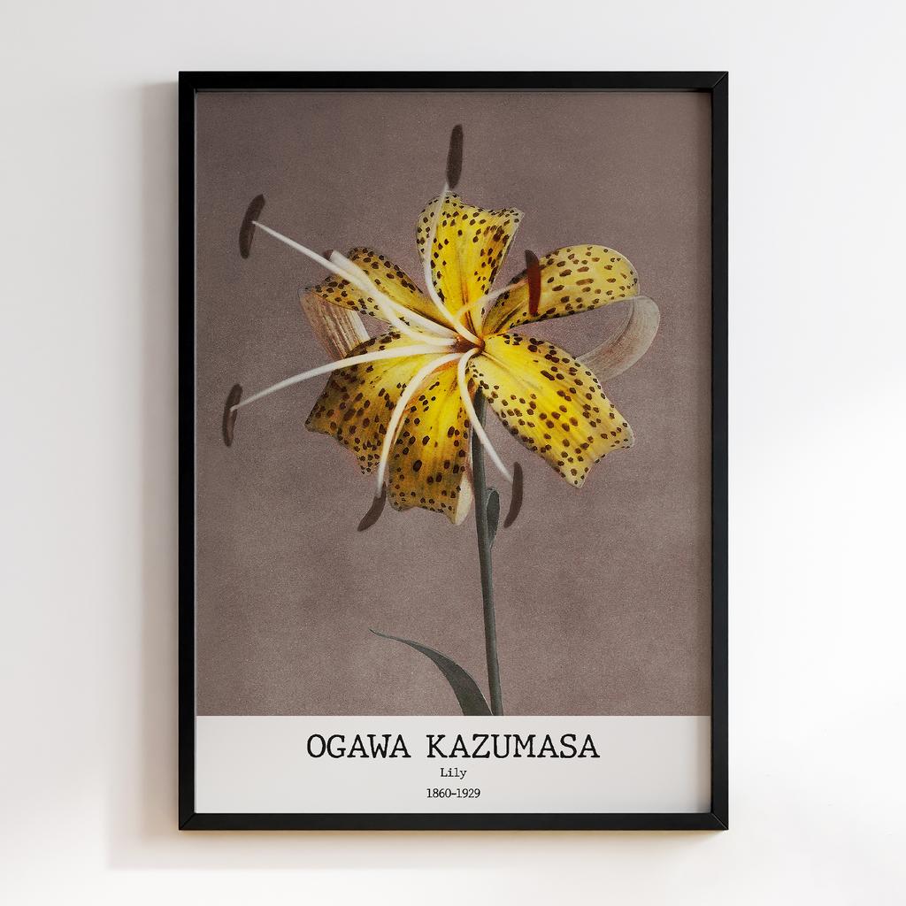 Постер Ogawa Kazumasa Lily #02