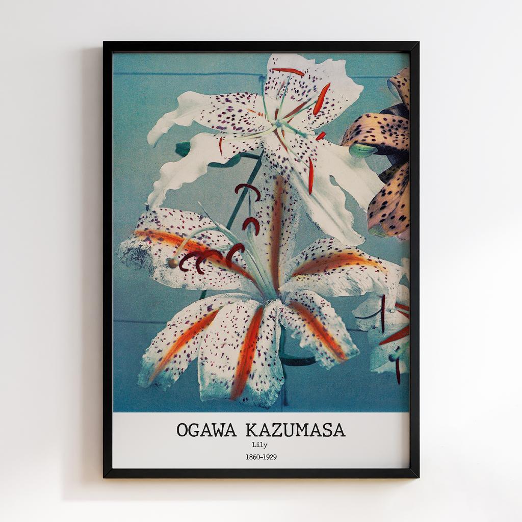Постер Ogawa Kazumasa Lily #04