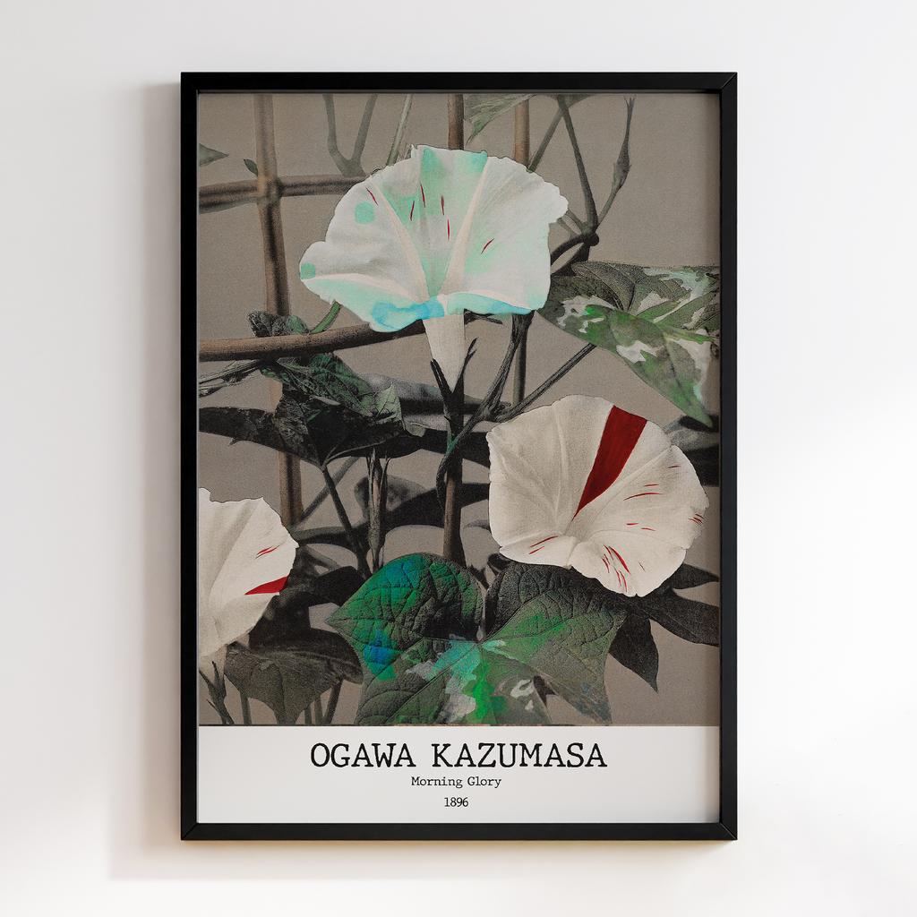 Постер Ogawa Kazumasa Morning Glory