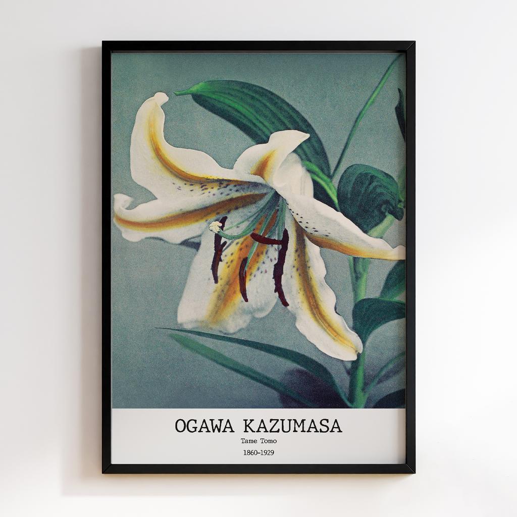 Постер Ogawa Kazumasa Tame Tomo