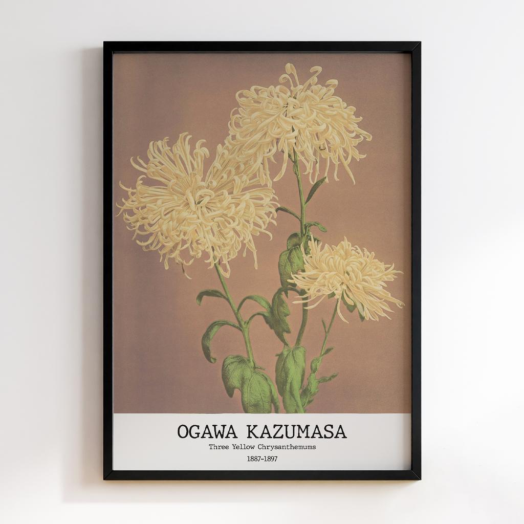 Постер Ogawa Kazumasa Three Yellow Chrysanthemums